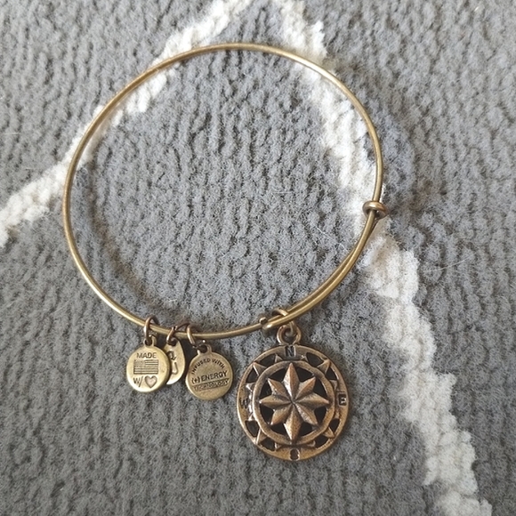 Alex and Ani Compass Bangle Bracelet - Picture 8 of 10